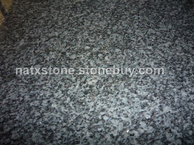 银点灰麻（帝王灰麻）