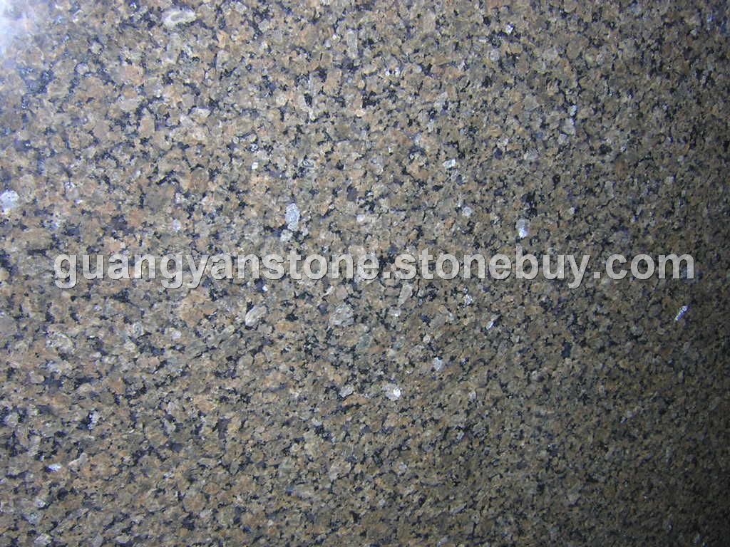 黄金钻 Tropical Brown