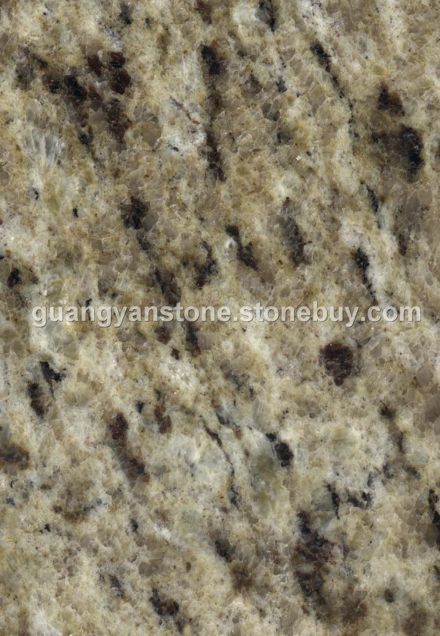 奥文度金 Giallo Ornamental