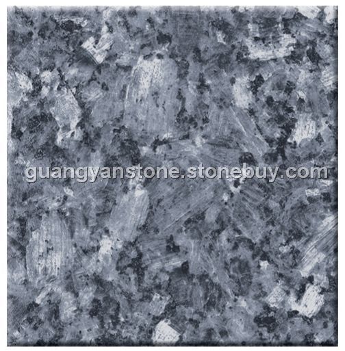 蓝珍珠 Blue Pearl