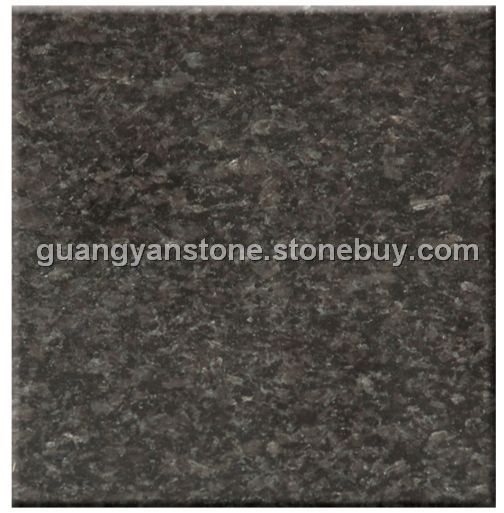 南非黑 Black Impala