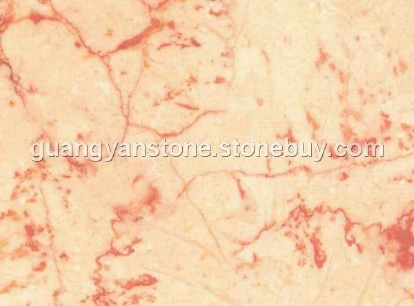 珍珠玫瑰 Rosalia