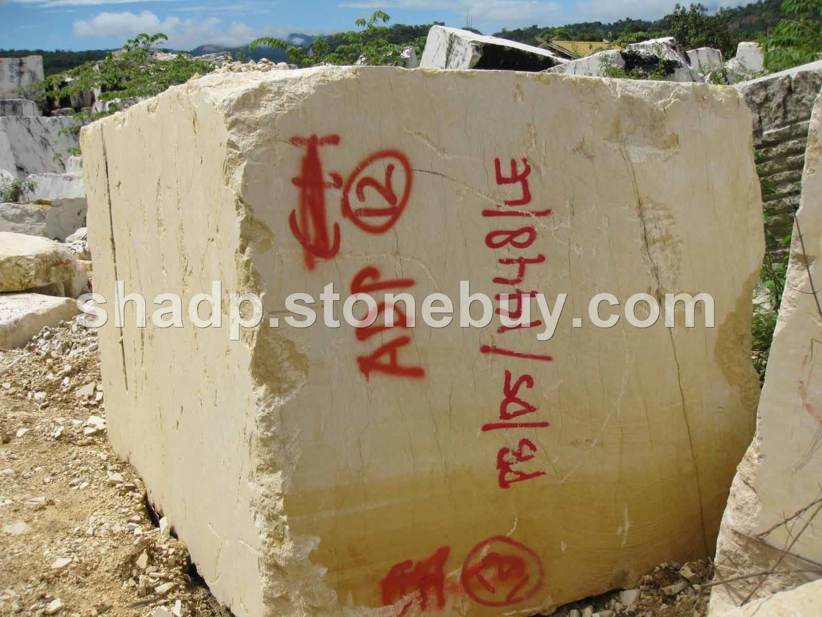 新世博米黄荒料