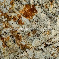 象牙金 Ivory Gold