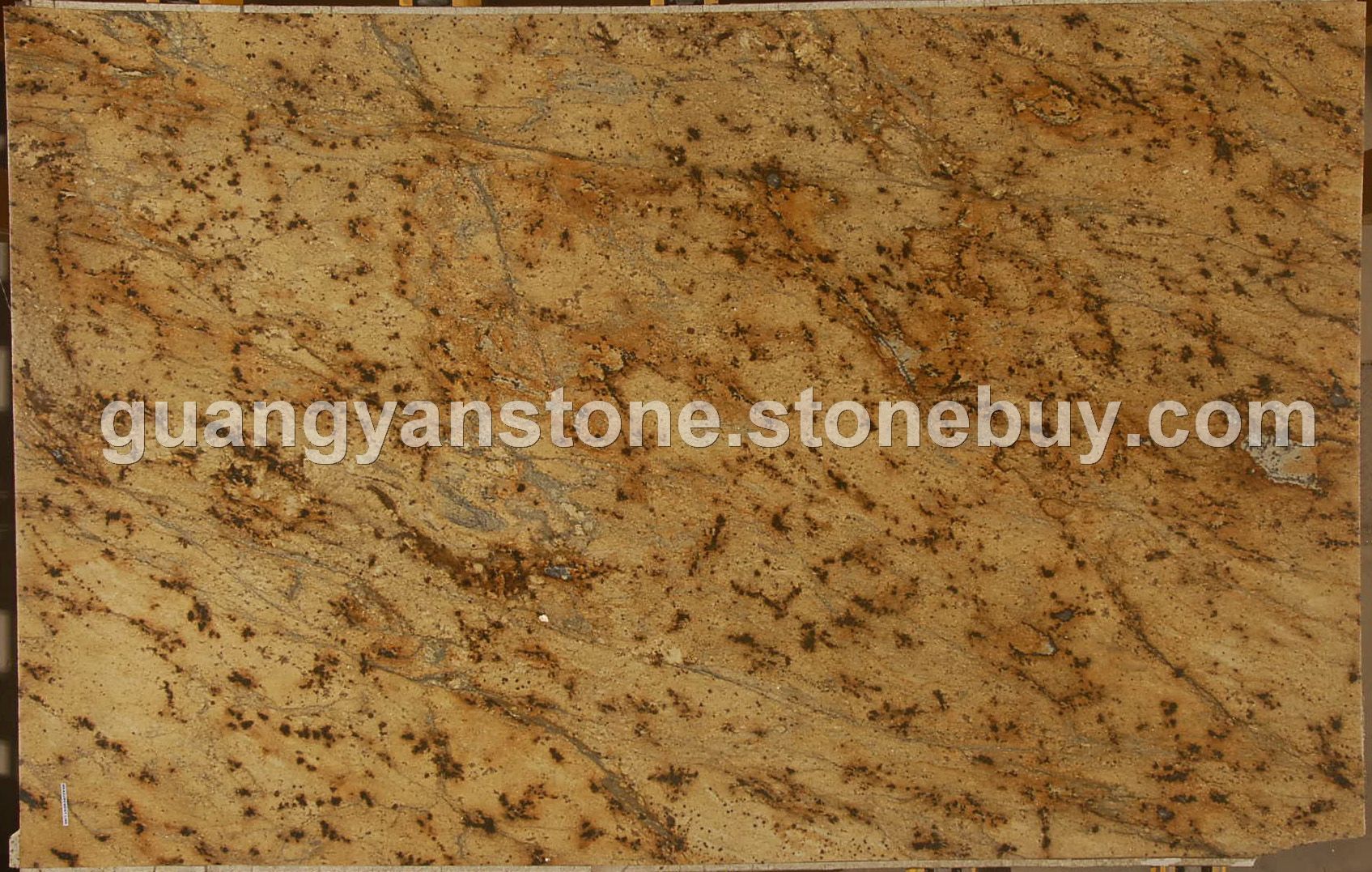 拉布多斯金 Lapidas Gold