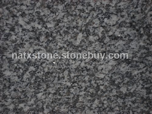 银点灰麻（帝王灰麻）