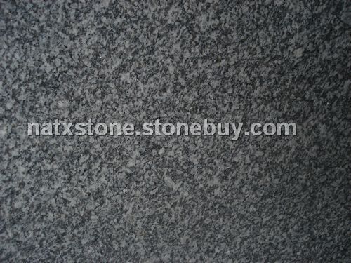 银点灰麻（帝王灰麻）&amp;nbsp;