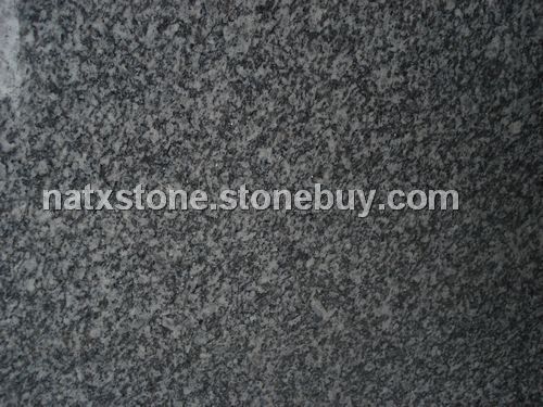 银点灰麻（帝王灰麻）&amp;nbsp;