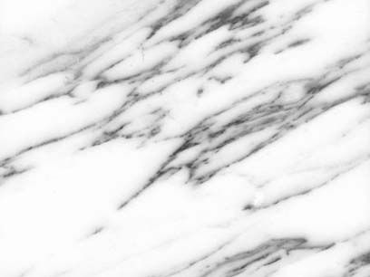 網(wǎng)紋大花白