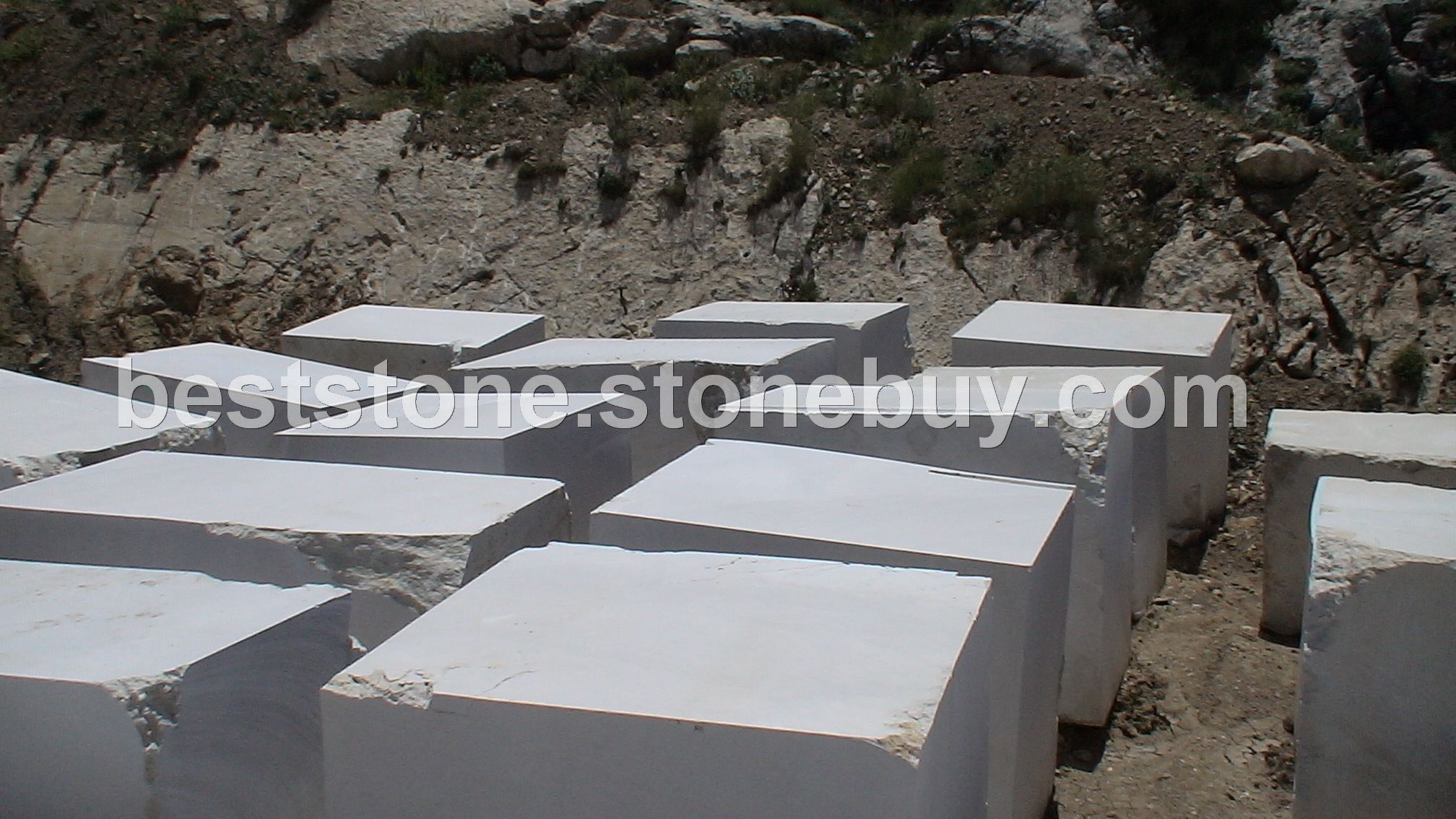 丁香米黄（老虎米黄）