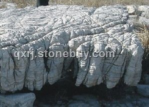 龟纹石、千层岩石