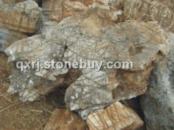 龜紋石、千層巖石