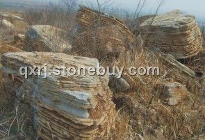 龜紋石、千層巖石