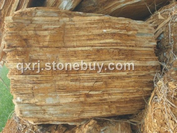 龜紋石、千層巖石