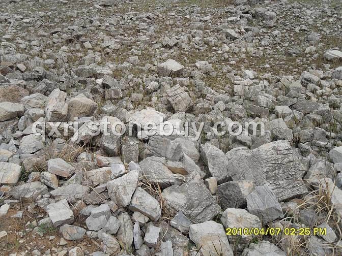 龜紋石、千層巖石