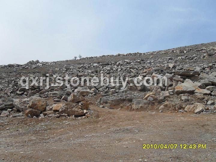 龜紋石、千層巖石