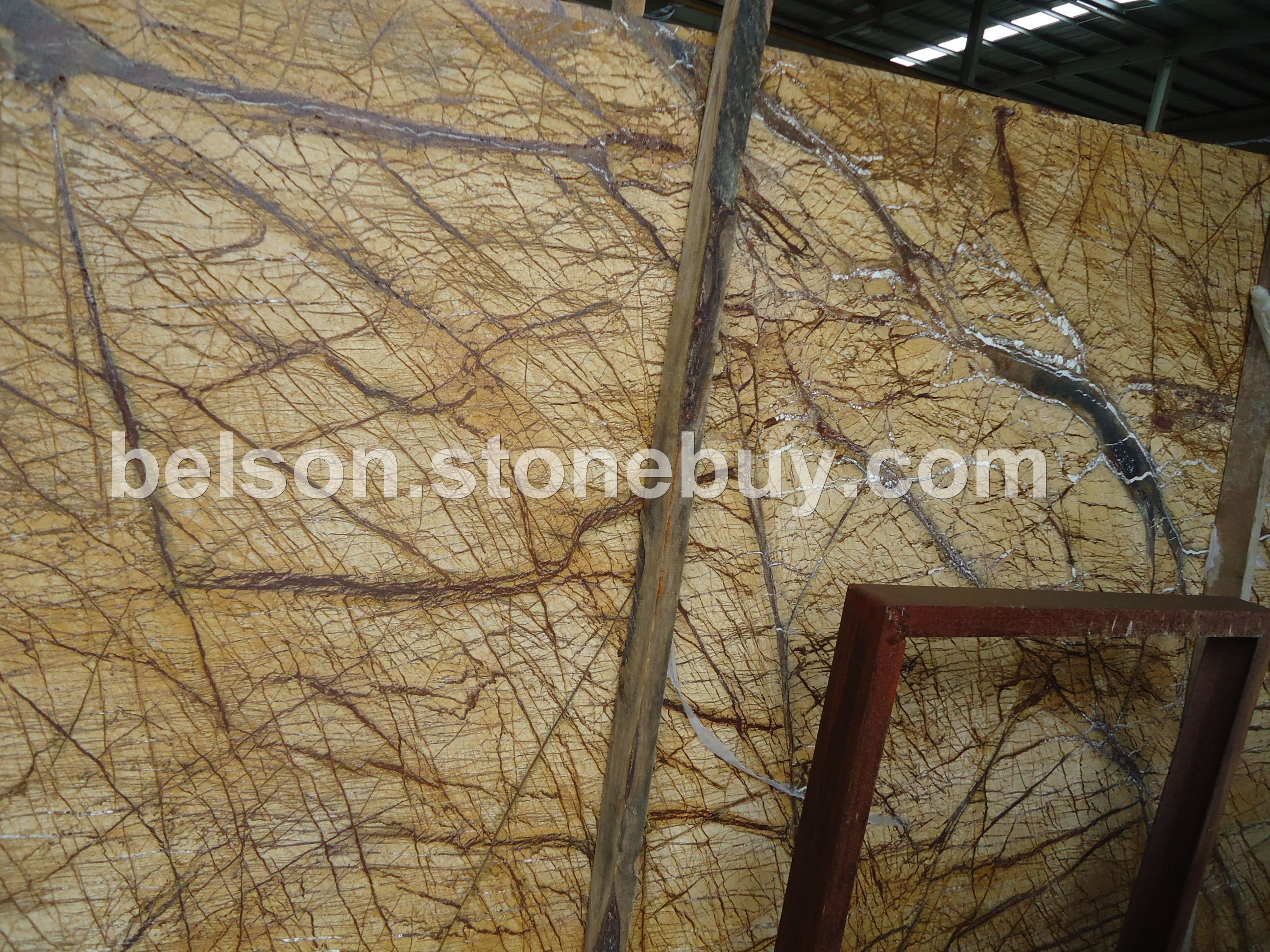 热带雨林啡仿古