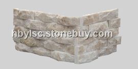 白石英小蘑菇角石