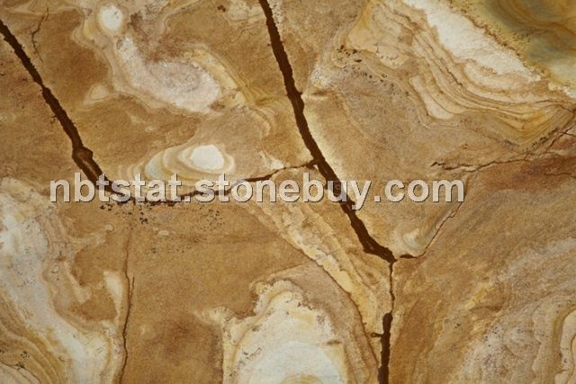 弗朗明哥(Palomino)&amp;nbsp;