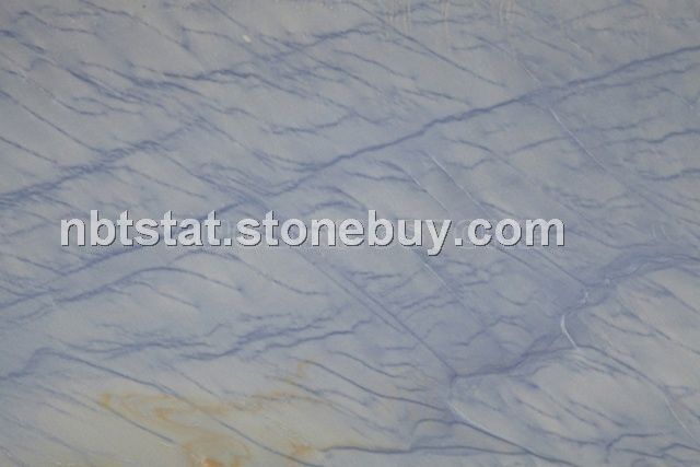 格兰云天(Azul macobus)