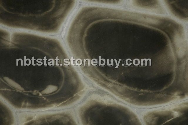 龟纹绿(Tartaruga)