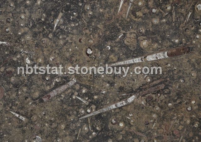 海底世界(Brown fossil)&amp;nbsp;&amp;nbsp;