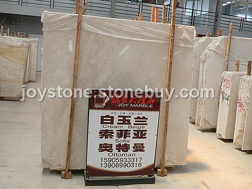白玉兰 索菲亚 奥特曼