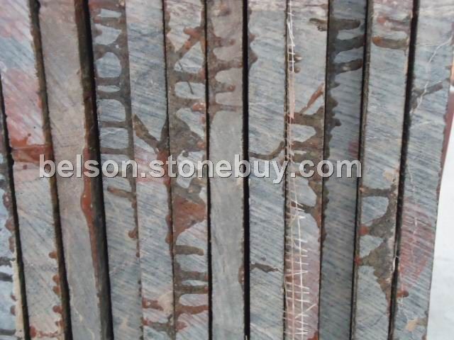 2公分热带雨林绿