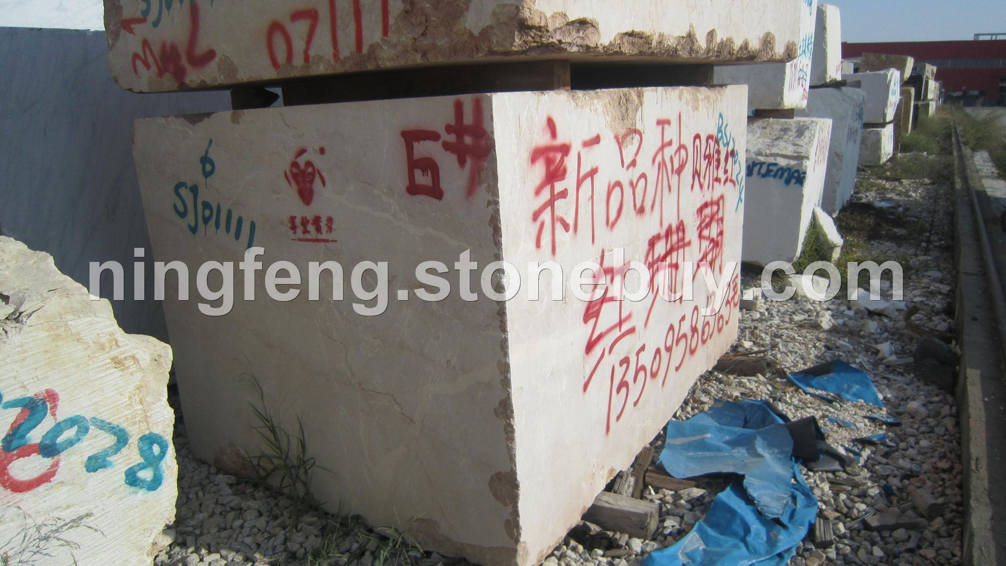 建材荒料红珊瑚加工生产