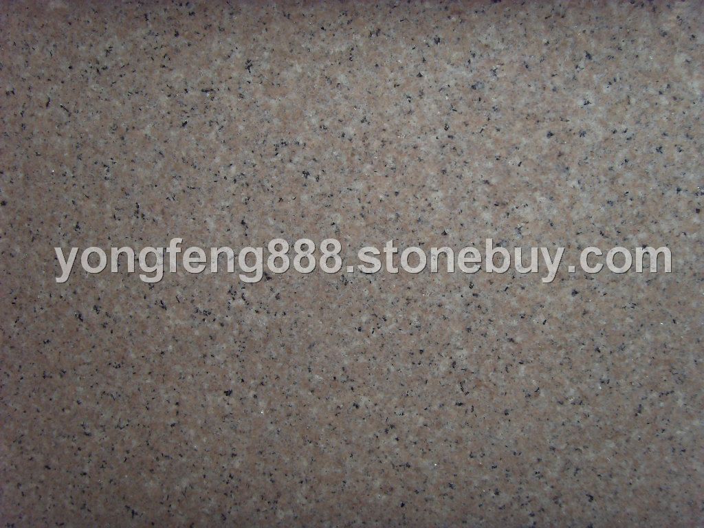 G681
