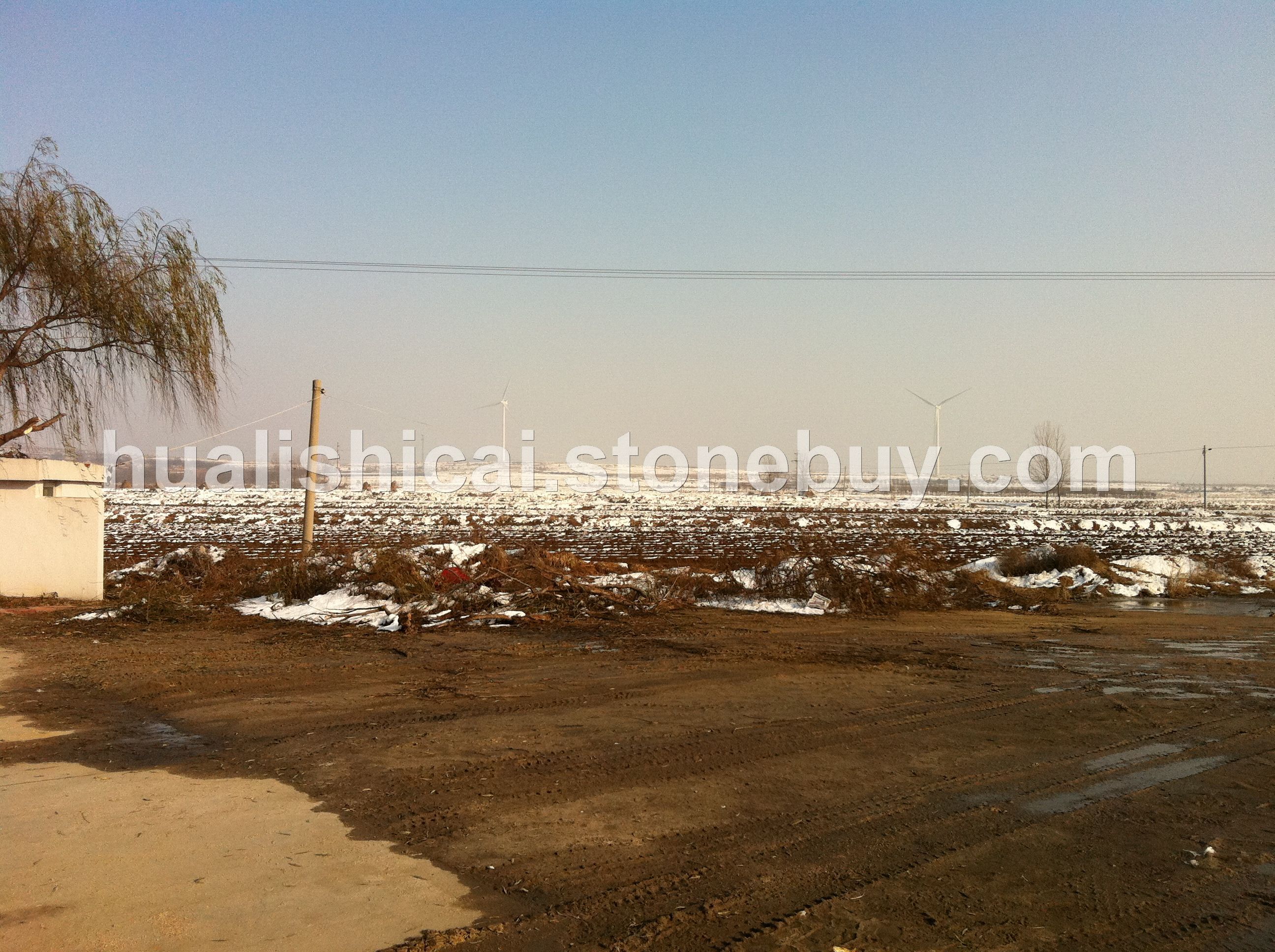 帝王啡-大板-荒料-矿山