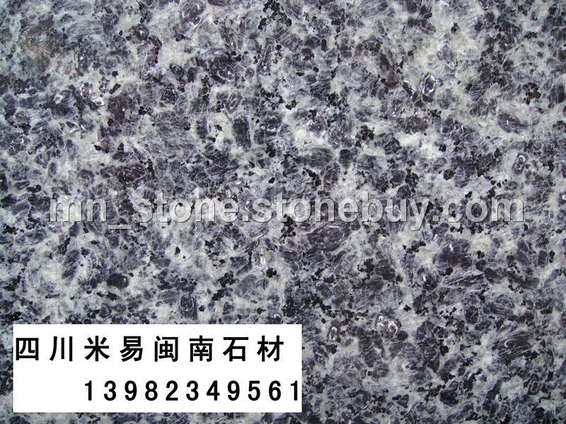 太平洋兰（太平洋蓝）大花