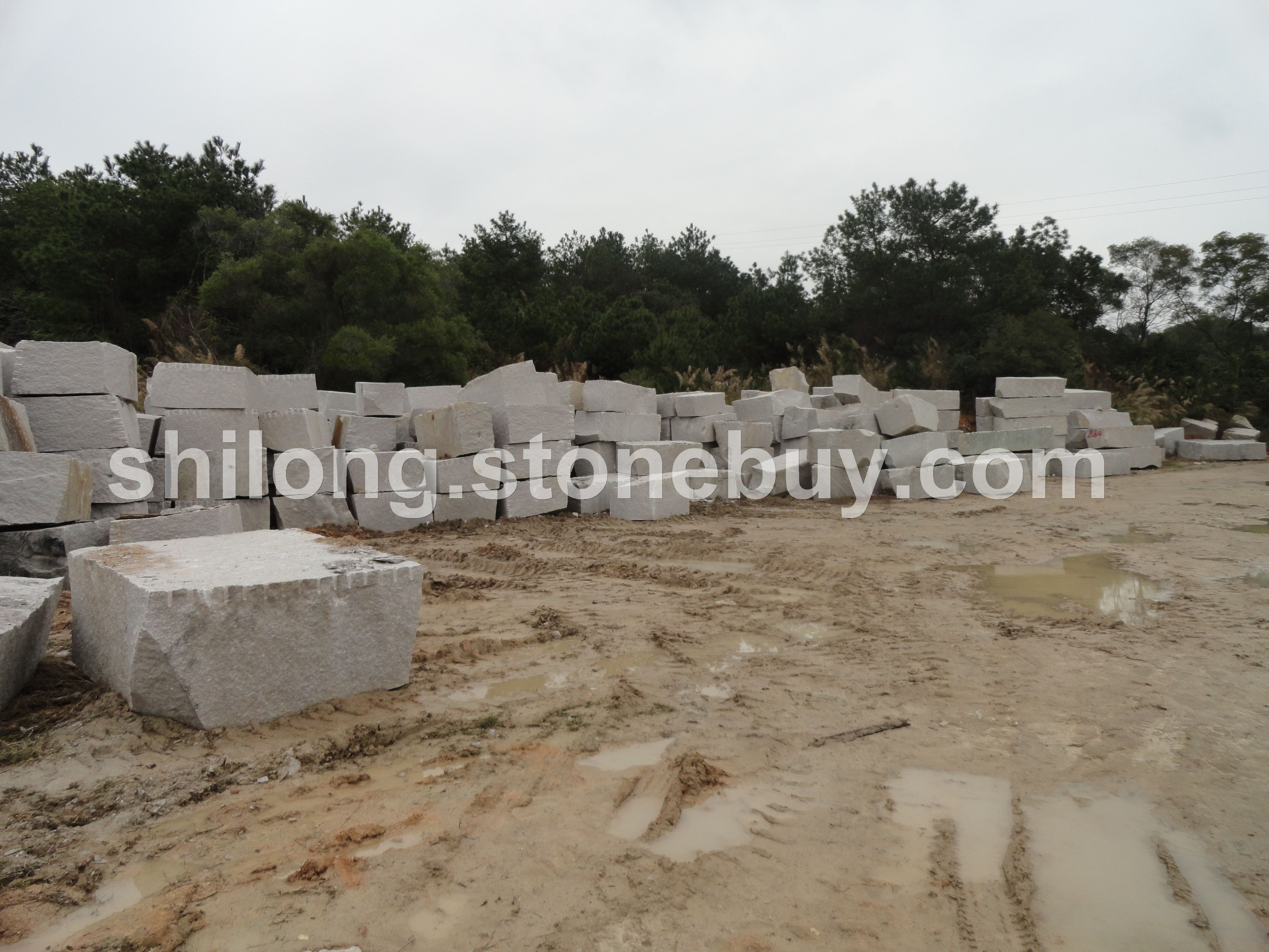 G606、泉州白、606石材、泉州白石材、泉州白荒料、G606荒料