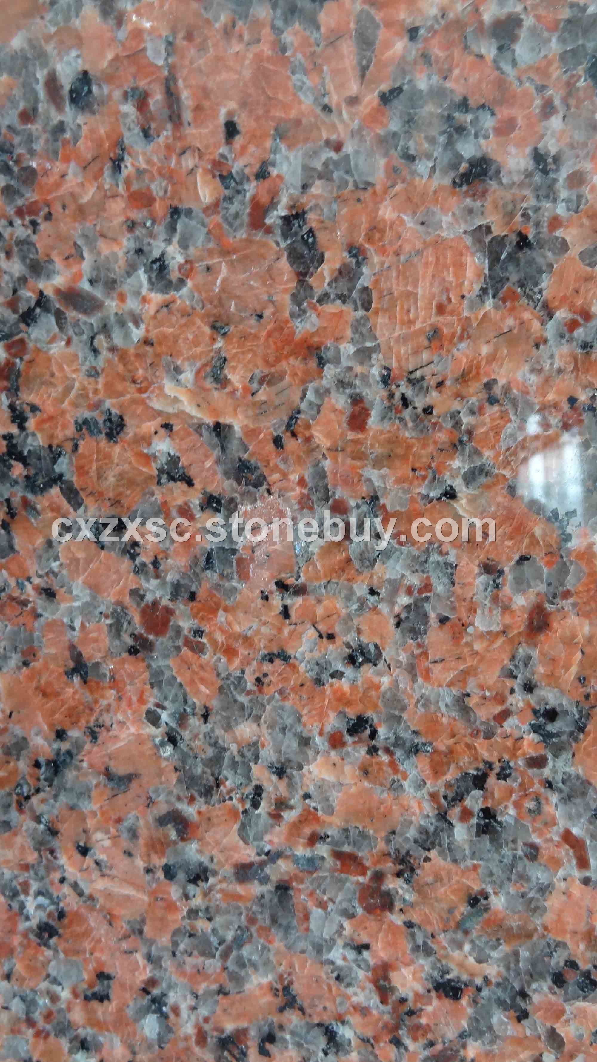 枫叶红(国家编号Ｇ５６２)