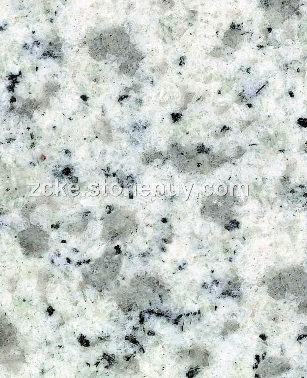 山东白麻（大花）
