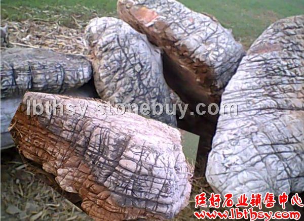 龟纹石假山 龟纹石价格 龟纹石报价 龟纹石产地 龟纹石批发 龟纹石厂家