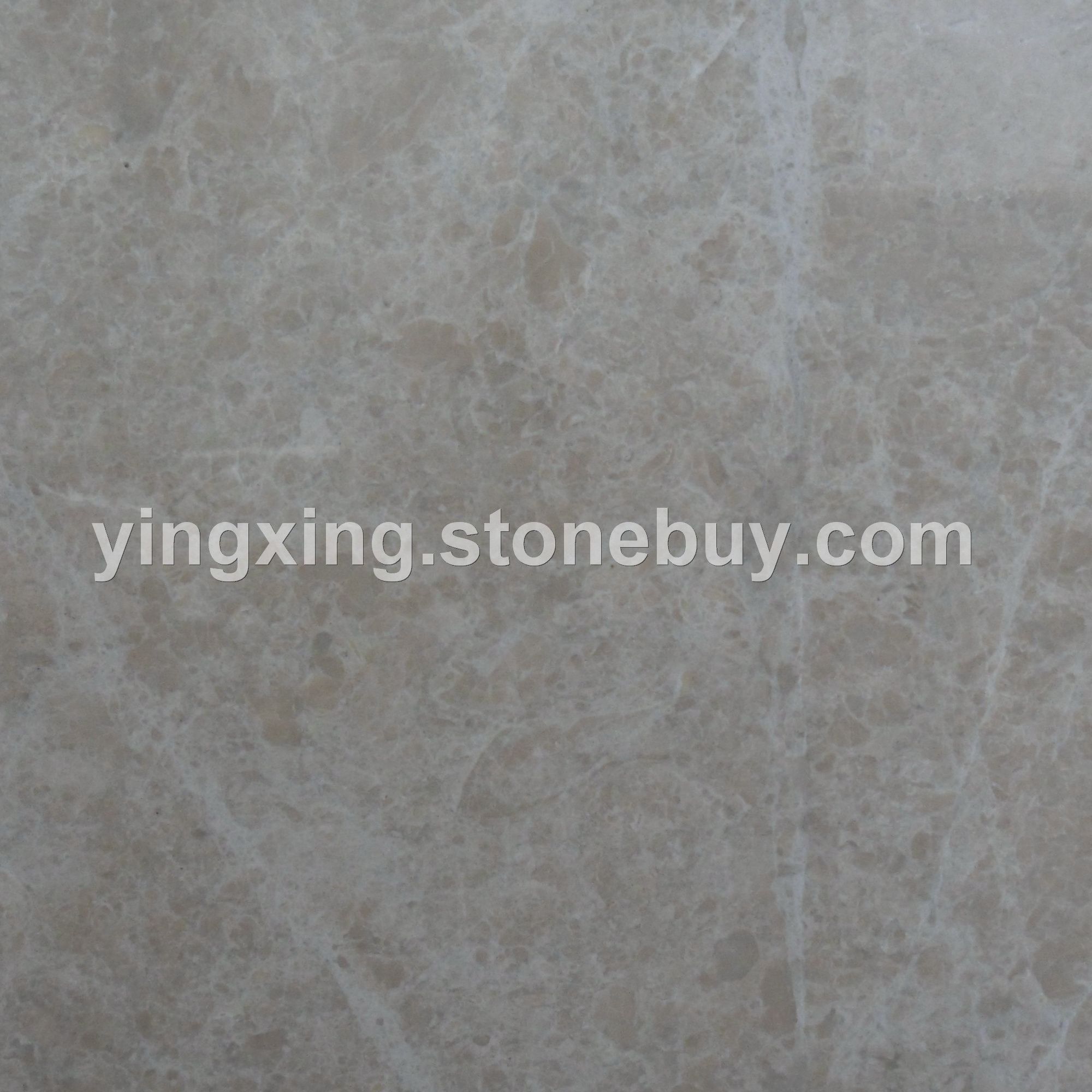 白玫瑰2&amp;nbsp;