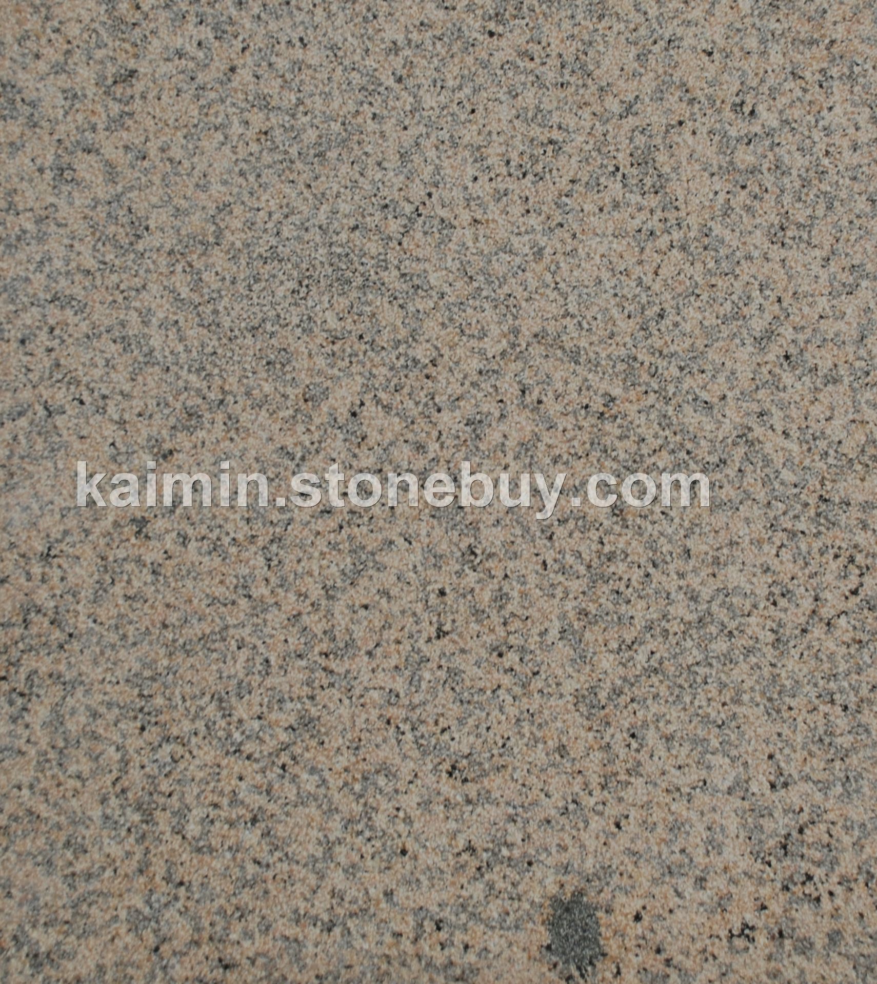 菊黄钻—荔枝面