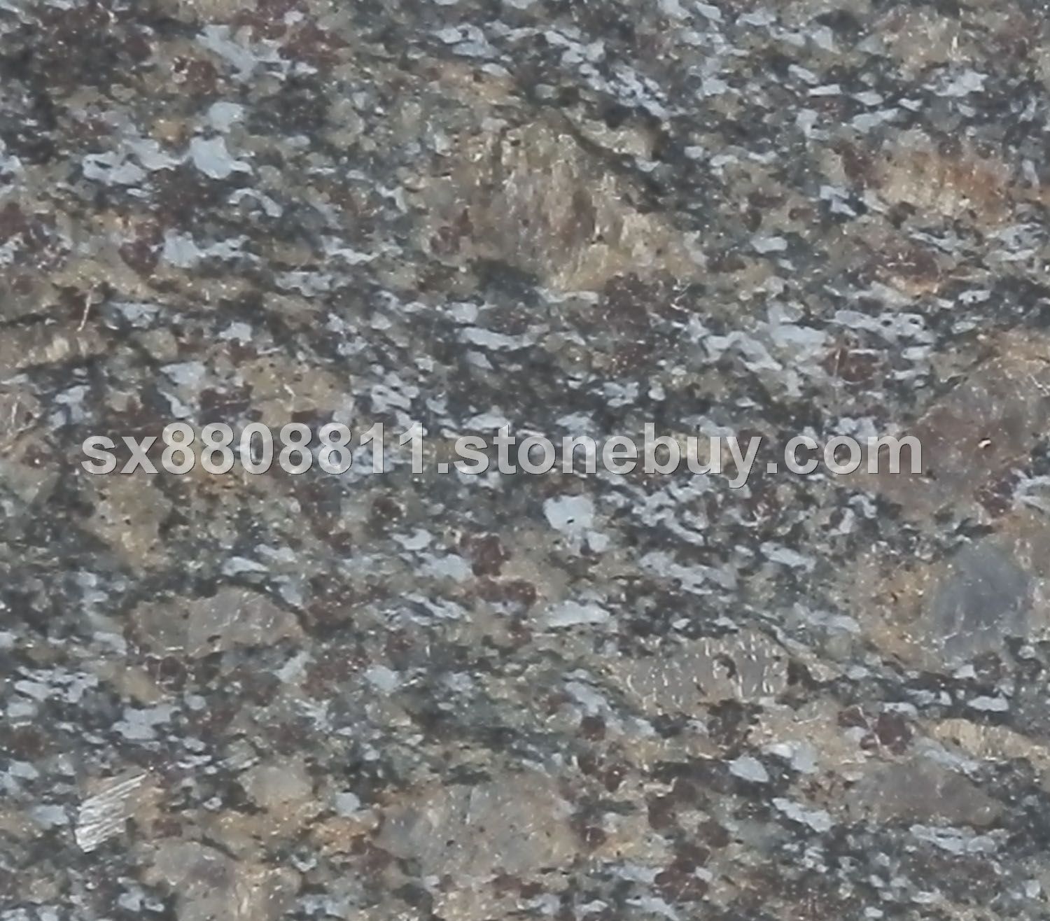产品：蝴蝶兰，紫晶蓝钻(七星蓝钻)，紫星蓝钻，紫点蓝钻，紫点玫瑰,欧亚金麻，新皇室啡,等种新产品。