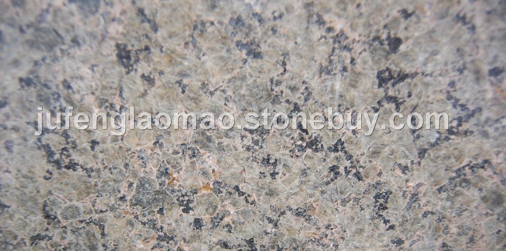 新黄金麻&amp;nbsp;