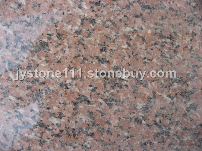 石岛红 新8号 光板