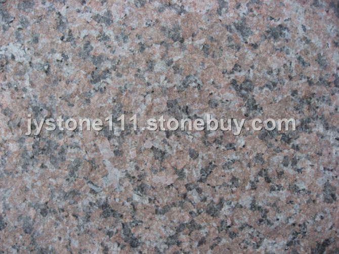 石岛红新8号火烧