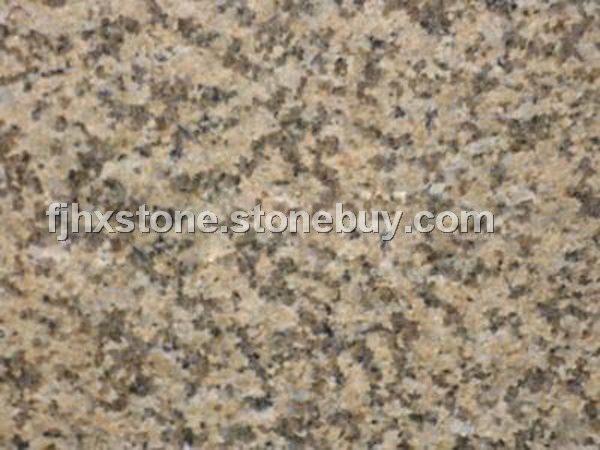 菊花黄（福建）