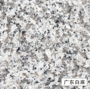 广东白麻