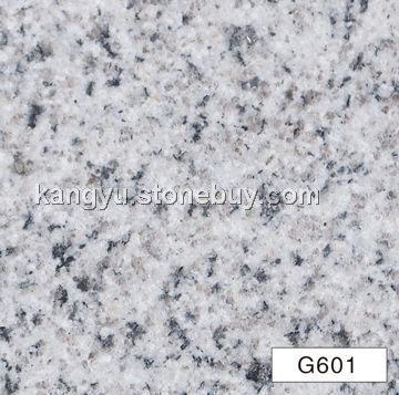 G601