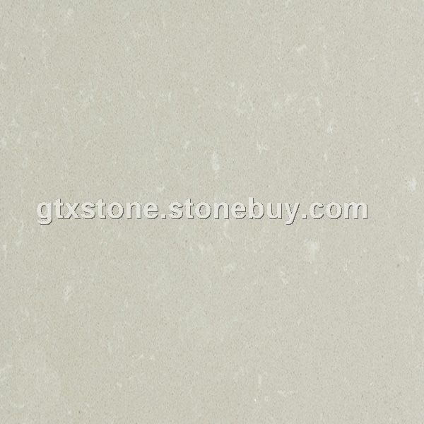 白玉兰 White Yulan YR0841