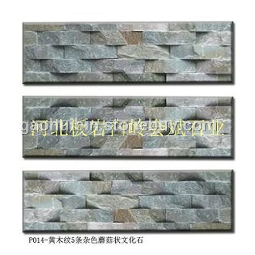 蘑菇文化石 自然 时尚 现代