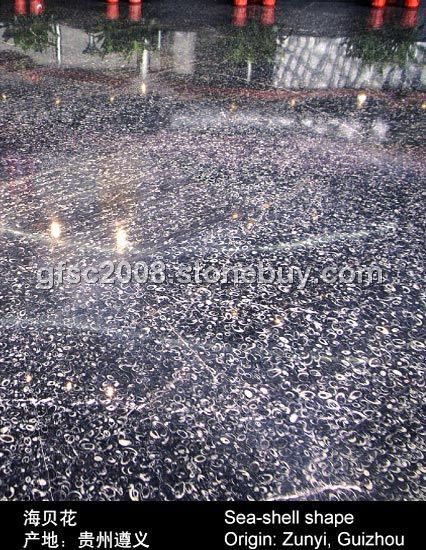 海贝花国家大剧院工程图