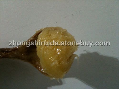 金色石材专用胶