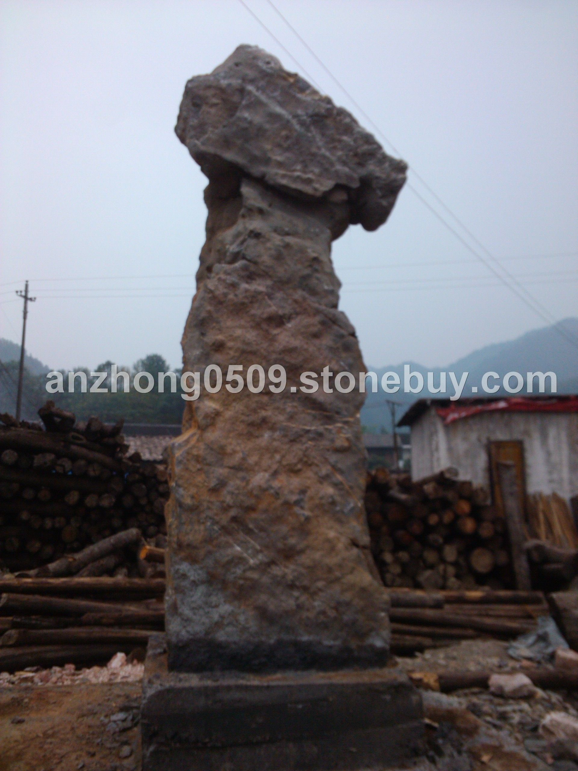 陽(yáng)頂天
